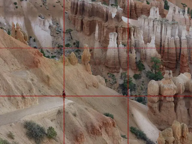 Złoty punkt czy trójpodział? - Jak świadomie budować kompozycję?