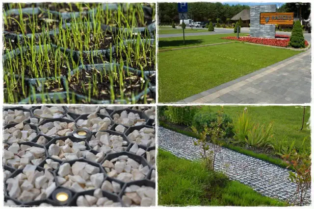 Zielony podjazd: trawa, kratka, budowa i pielęgnacja poradnik!