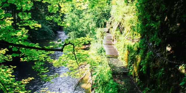 Słowacki Raj: Który szlak? Wybierz idealną trasę dla siebie