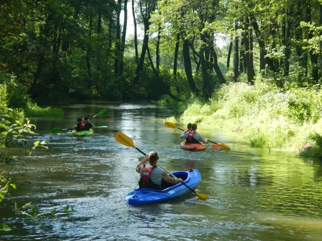 Spływ kajakowy Katowice: Trasy, ceny, organizacja Twój przewodnik