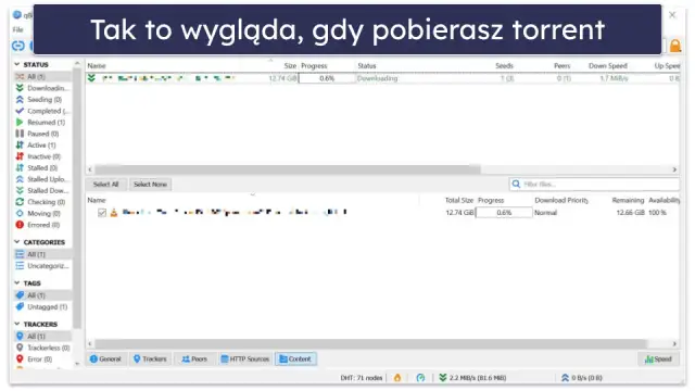 Gdzie szukać bezpiecznych źródeł torrenty gier i jak unikać zagrożeń?