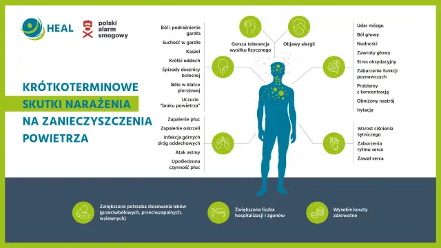 Smog: objawy, choroby. Czy wiesz, co wdychasz?