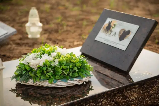 Wieniec i tablica pamiątkowa na grobie zwierzęcia. Zastanawiasz się, ile kosztuje kremacja kota?