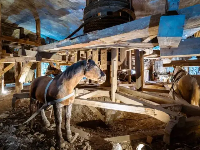 Stadnina koni Wieliczka: Ceny, oferta. Gdzie zacząć przygodę?