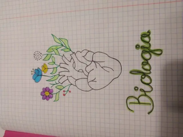 Jak ozdobić zeszyt do biologii, aby był funkcjonalny i atrakcyjny