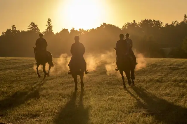 Wschód słońca w stadninie koni – historia i tajemnice utworu