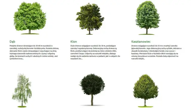 Drzewa na osiedle: Które wybrać, by uniknąć problemów i cieszyć się zielenią?