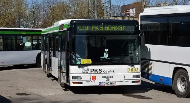 Ile jedzie autobus z Gdańska do Krynicy Morskiej? Czas i porady
