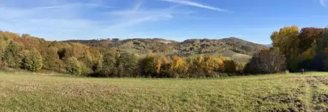 Najciekawsze atrakcje w Walimie, które musisz zobaczyć