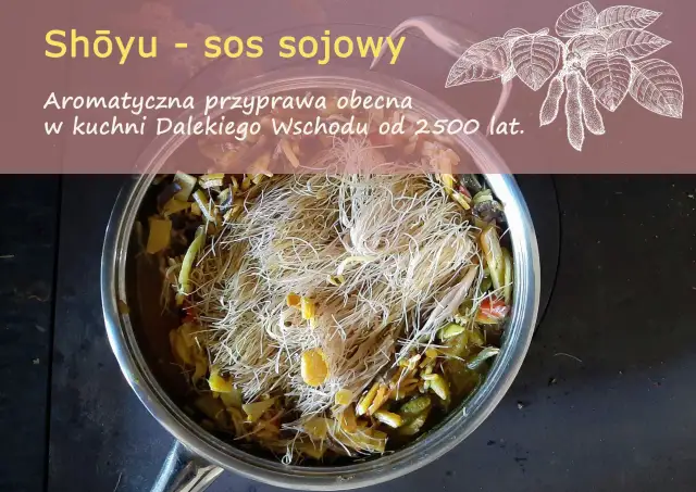 Aromatyczna przyprawa Shoyu - sos sojowy, obecna w kuchni Dalekiego Wschodu od 2500 lat, gotuje się w garnku z warzywami i makaronem.