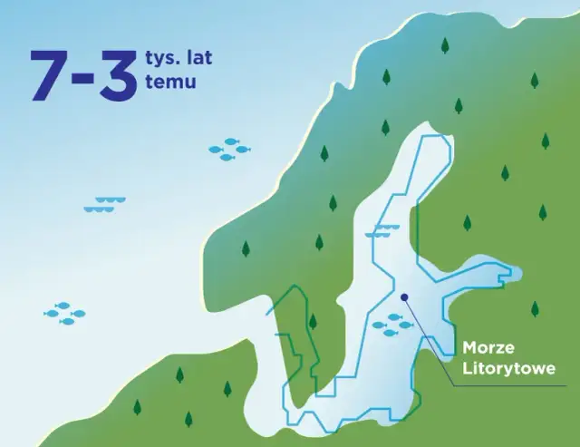 Zasolenie Bałtyku: Co musisz wiedzieć o jego poziomach i wpływie