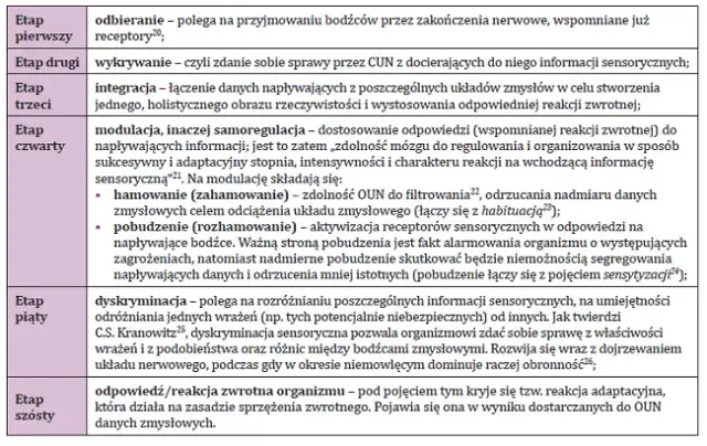 Testy integracyjne u dzieci: Przykłady i co mówią o rozwoju SI?
