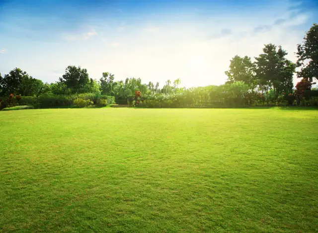 Czy można sprzedać działkę zaraz po zakupie? Oto ważne przepisy