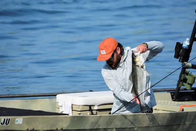 Skuteczna zanęta na sandacza: przepisy i techniki, które działają