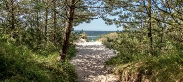 Jezioro Dobrowieckie Wielkie - piękne miejsce na relaks i wypoczynek