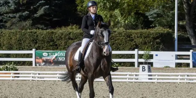 Historia jeździectwa konnego: od pradawnych czasów do współczesności