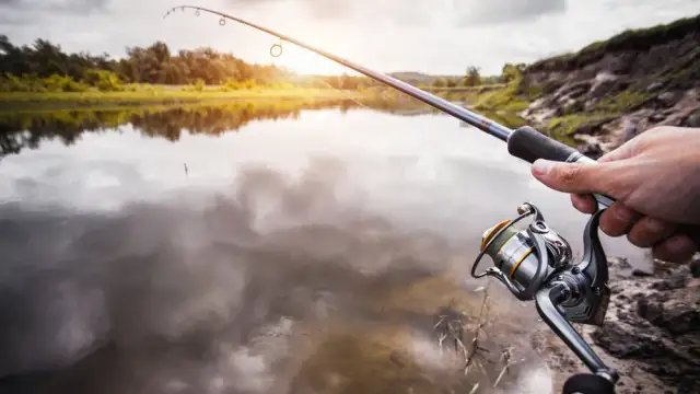Jaka wędka na spławik? Wybierz najlepszą wędkę dla siebie i uniknij błędów