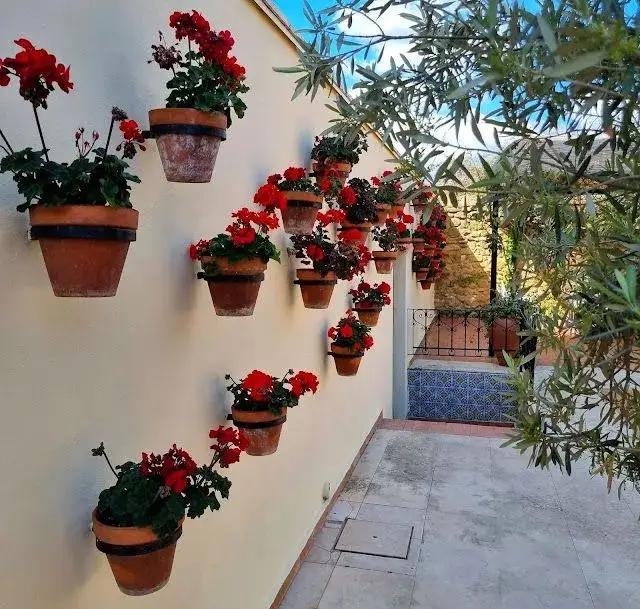 Co uprawiać na balkonie? Najlepsze rośliny do małych przestrzeni