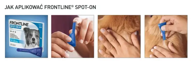 Jak aplikować Frontline psu? Poradnik krok po kroku i kluczowe zasady