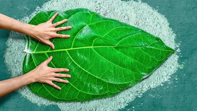 Jak zrobić figurki z cementu - proste instrukcje i sprawdzone porady
