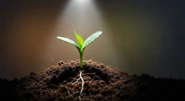 Ile kosztuje ciężarówka ziemi? Zaskakujące ceny i czynniki wpływające na koszt