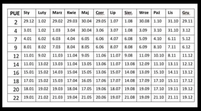 800 plus: Kiedy wypłata? Sprawdź swój termin w ZUS!