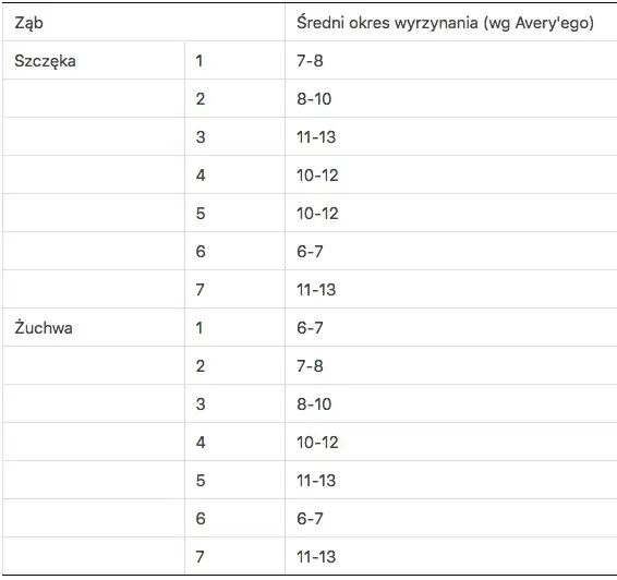Ile zębów ma człowiek? Od mleczaków po ósemki wszystko, co musisz wiedzieć