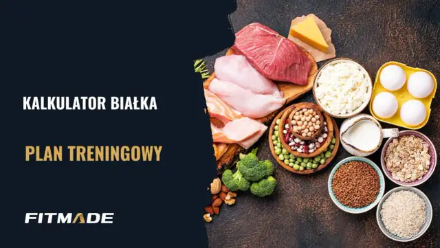 Kalkulator białka i plan treningowy. Różnorodne źródła białka: mięso, ryby, nabiał, jaja, rośliny strączkowe, orzechy, płatki owsiane, kasza, ryż.