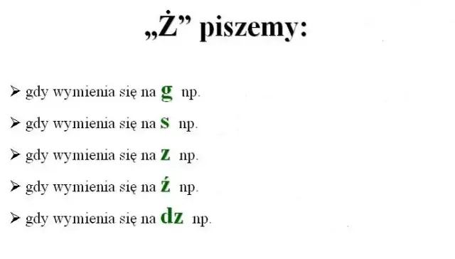 Porzeczka: RZ czy Ż? Zapamiętaj raz na zawsze!