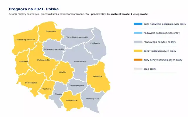 Co można robić po studiach finanse i rachunkowość? Sprawdź możliwości kariery