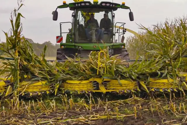 Podatek rolny czy od nieruchomości? Uniknij pułapek i wyższych kosztów