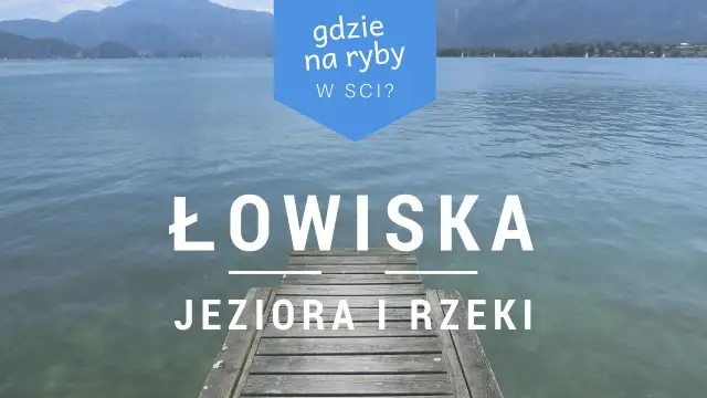 Gdzie na ryby PZW Katowice - najlepsze łowiska i ich tajemnice