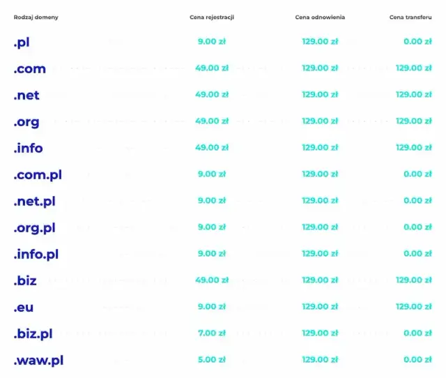 Domena internetowa: Twój adres w sieci. Jak działa i ile kosztuje?