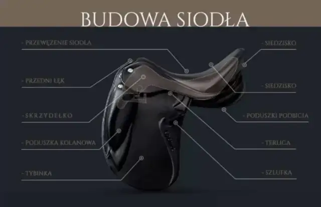 Z czego składa się siodło? Kluczowe elementy, które musisz znać