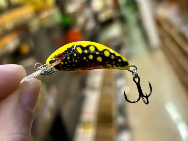 Skuteczne przynęty na pstrąga: Co wybrać? Poradnik eksperta!