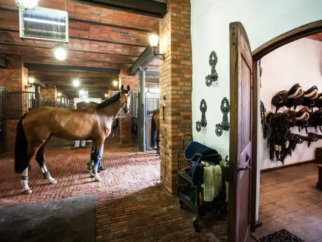 Najlepsze stadniny koni w Grudziądzu – opinie i oferty jazdy konnej