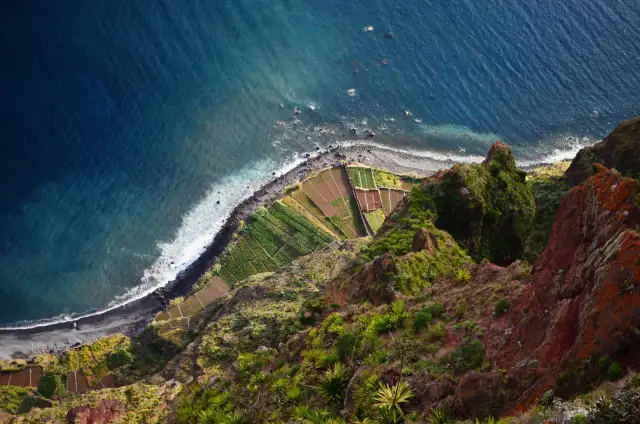 Tarasy uprawne na stromym zboczu, z widokiem na ocean. Wczesna wiosna na Maderze, zieleń budzi się do życia.