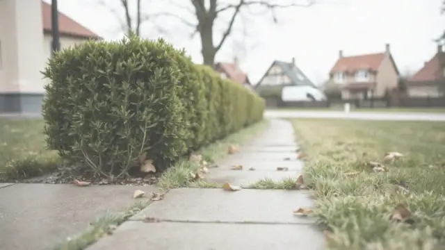Czy chodnik należy do posesji? Odkryj swoje obowiązki i prawa