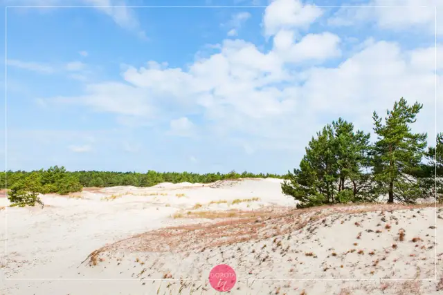 Łeba: Jak zaplanować idealny urlop? Wydmy, parki i plaże czekają!