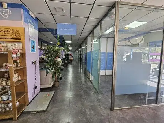 Canitas Vega del Rey: Servicios, Opiniones y Contacto para tu Mascota