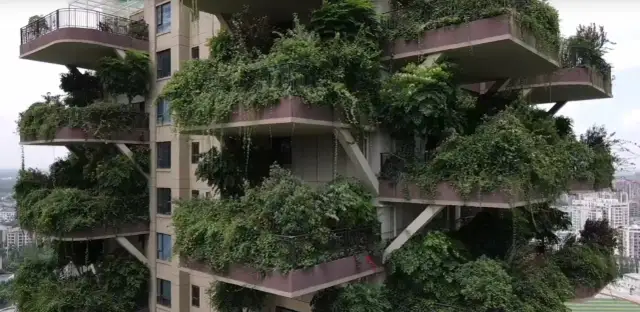 Zielone osiedle: Wybierz idealne drzewa bez ryzyka i kar!