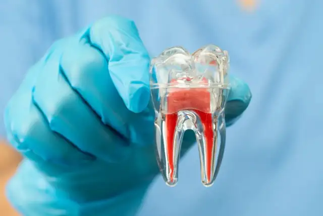 Czy po leczeniu kanałowym można pić alkohol? Dowiedz się, dlaczego warto unikać