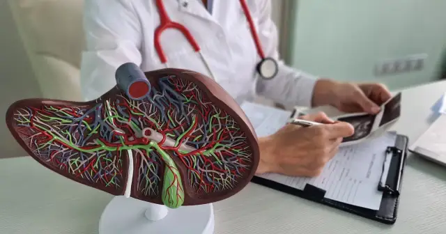 Jaki lekarz od wątroby pomoże w diagnozie i leczeniu chorób?