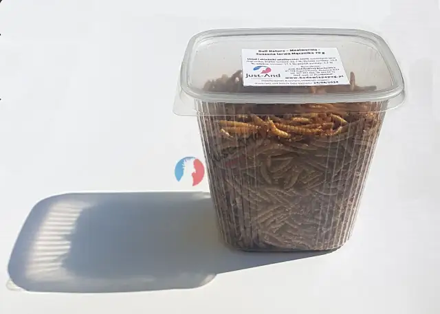 Mączniki dla ptaków: Żywe czy suszone? Które wybrać i dlaczego?