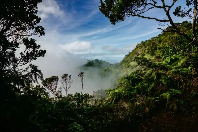 Czy Hawaje to wyspa? Odkryj prawdę o archipelagu Hawajskim