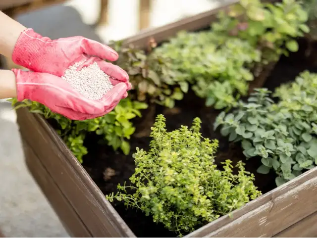 Nawozy mineralne – co to jest, ich rodzaje i zastosowanie w uprawach