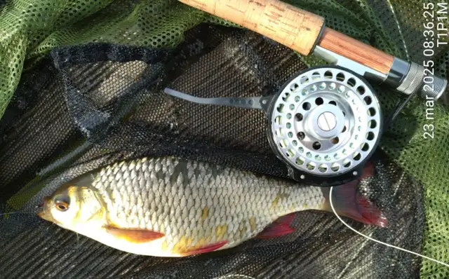 Przylasek Rusiecki: Jak łowić? Zasady, ceny, ryby przewodnik wędkarza