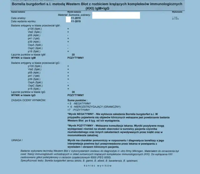 Badania na boreliozę po kleszczu: Kiedy i jakie, by wynik był pewny?