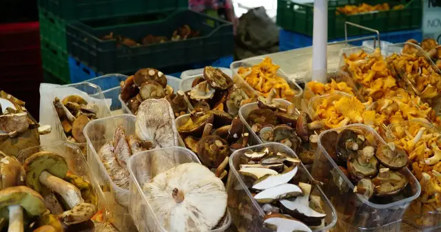 Po ile grzyby na skupie - aktualne ceny i co wpływa na stawki