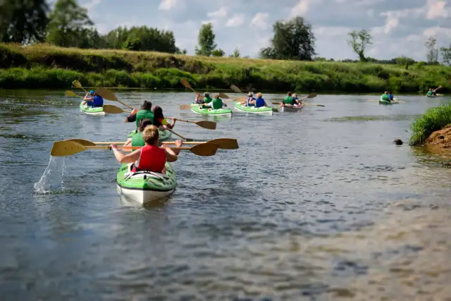 Park Linowy Uniejów: Cennik 2026 i praktyczny przewodnik przed wizytą